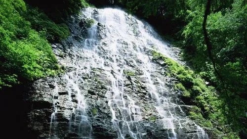 高标准智能稳定性